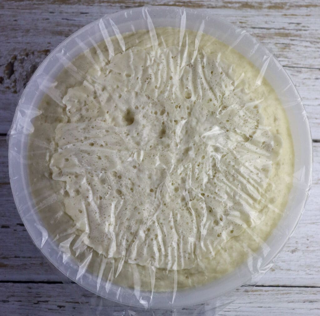 iamge of the dough after resting 24 hours